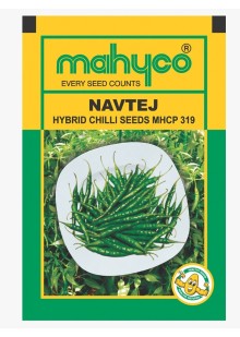 Navtej 